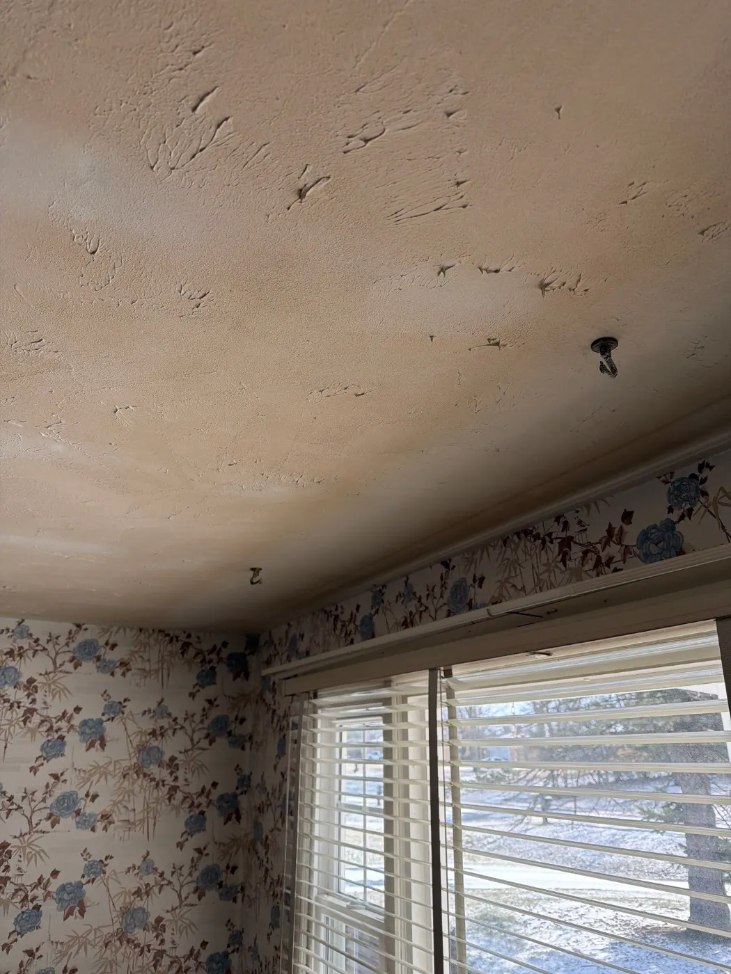 Thermal imaging during water damage assessment in Eagle Trace residence