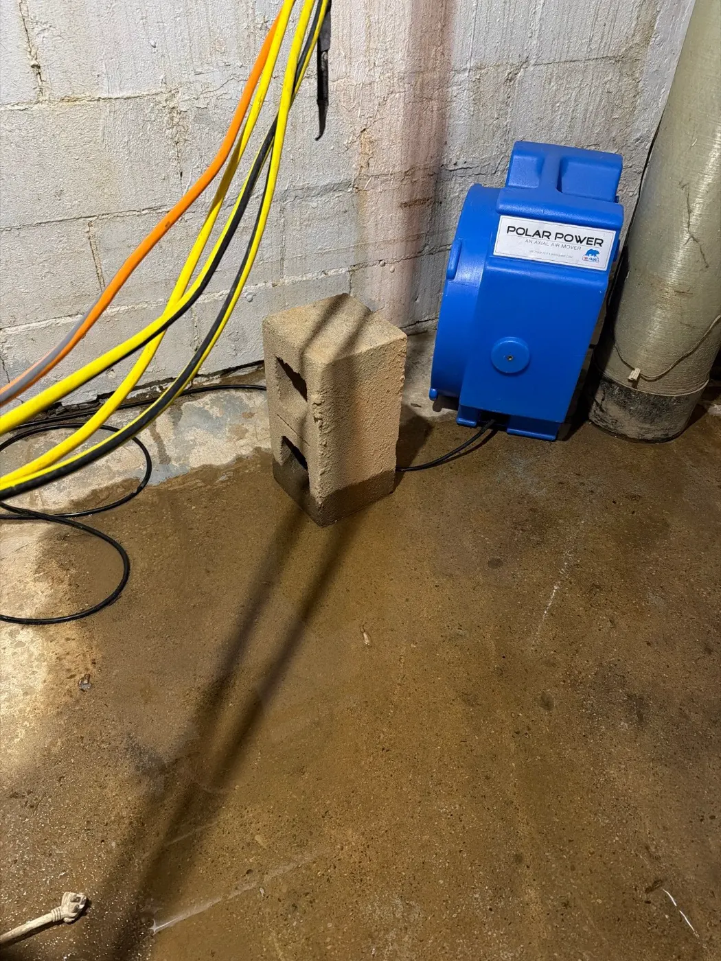 Basement water extraction in Eagle Trace Indiana home